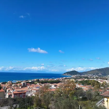 Martuscelli